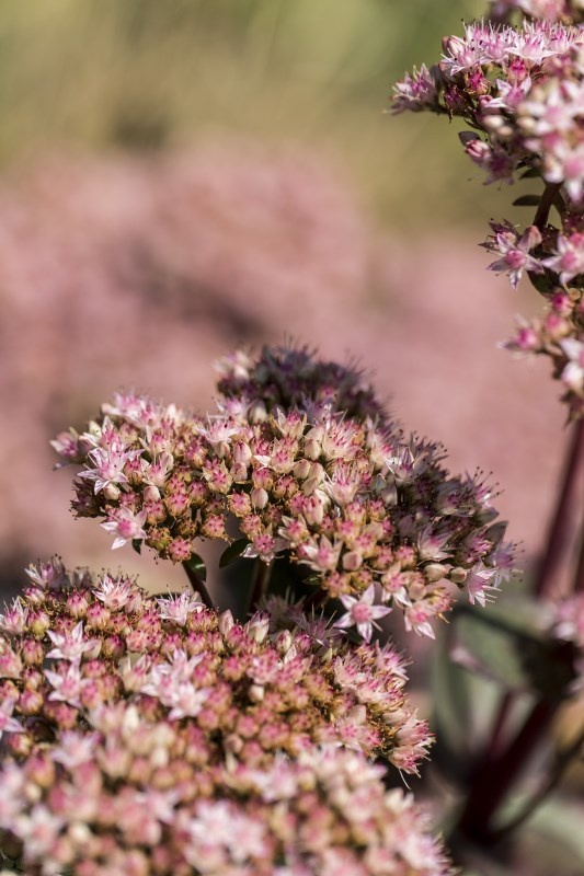 Profilbild von Gisela Rath